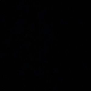 Meet your Posher, Trisha